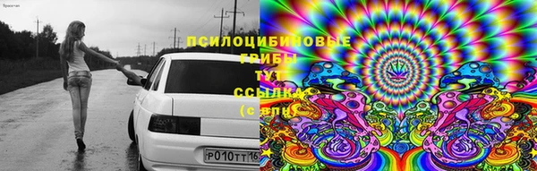 мдма Богданович